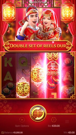 Double Fortune Captura de tela do jogo 5