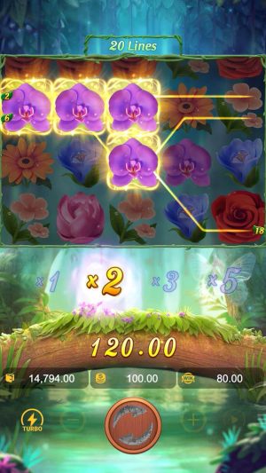 butterfly-blossom_multiplier2_en