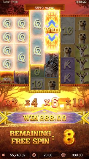 safari-wilds_freespins2_en