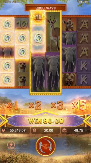 safari-wilds_multiplier4_en